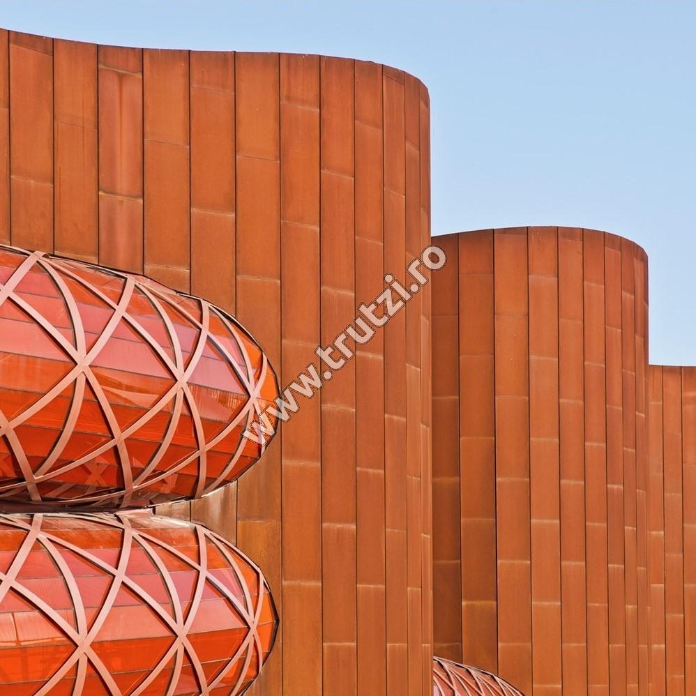 TABLA TIP CORTEN 2000X1000MM, GR. 2.0MM, S355J0WP - imagine 5
