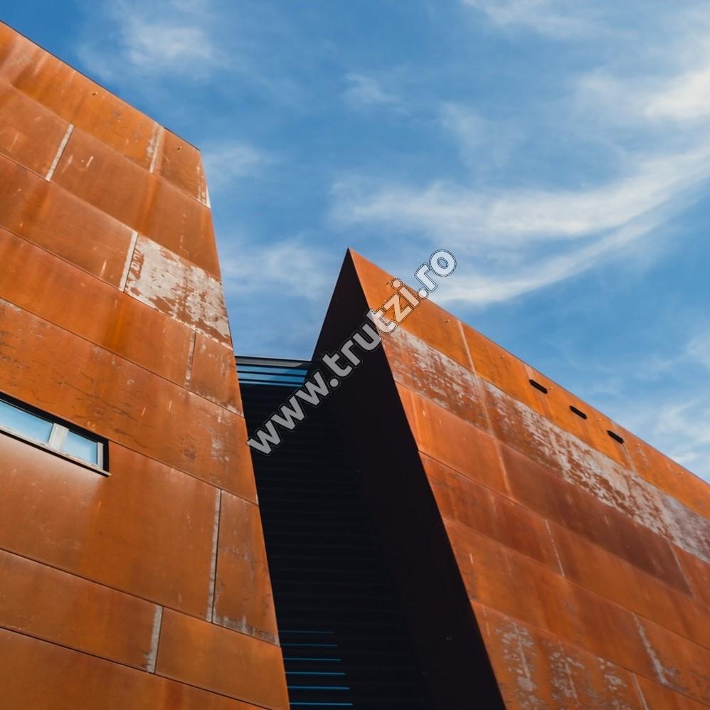 TABLA TIP CORTEN 3000X1500MM, GR. 3.0MM, S355J0WP - imagine 3