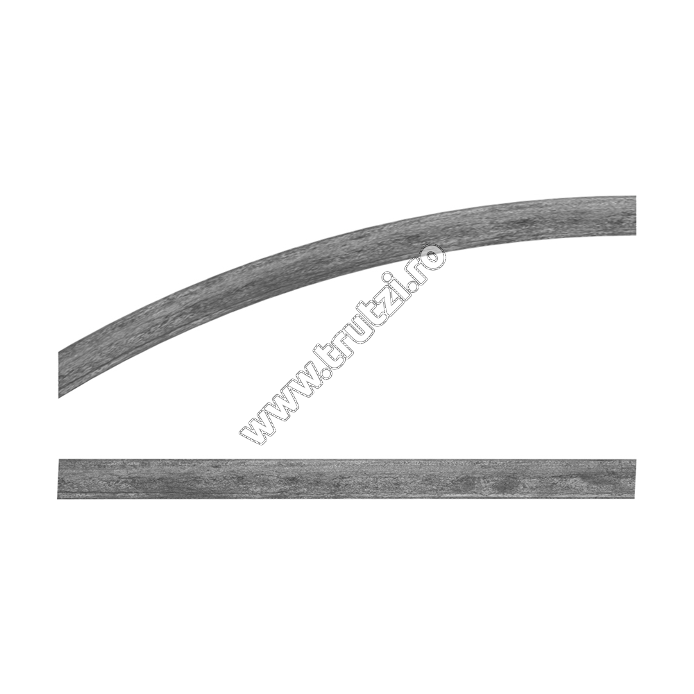 Imagine arcada tip " semicerc" poarta mare(stanga) sect 50x5mm ; h 250-300mmm ,l 2000mm